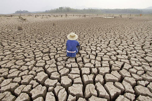 Khô hạn do biến đổi khí hậu. Ảnh: BusinessLive.