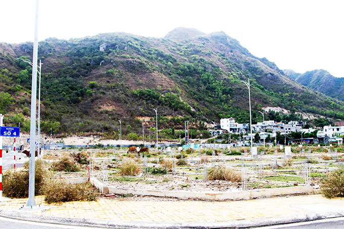 Khu nhà ở gia đình quân đội tại phường Vĩnh Hòa: Cho bán thương mại 49 lô đất