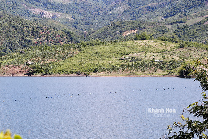 Cho thuê hồ thủy lợi: Hậu quả khó gỡ