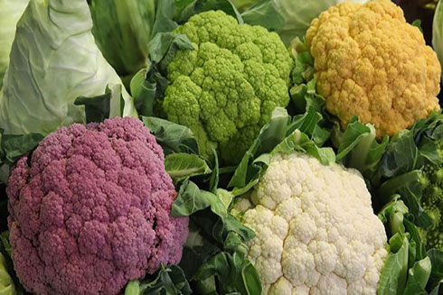 Lợi ích tuyệt vời từ các loại rau họ cải