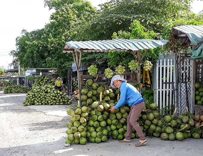 Quảng bá thương hiệu nông sản