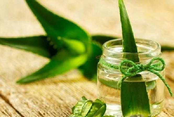 Những người đại kỵ với nha đam, tuyệt đối không ăn vì cực độc