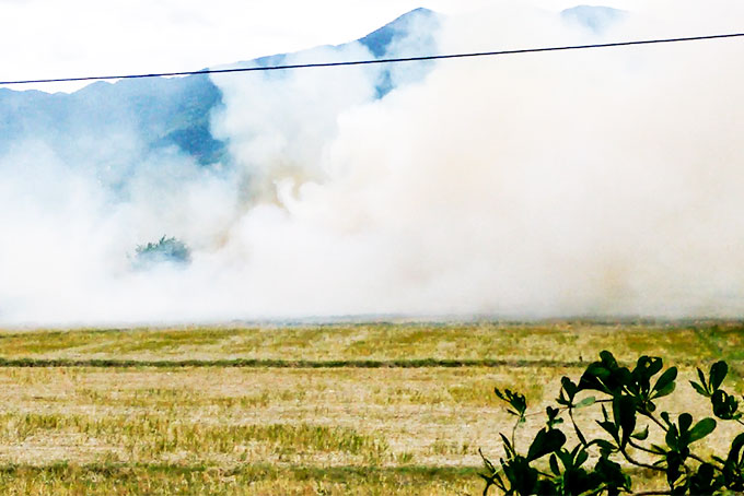 Đốt rơm rạ gây ô nhiễm môi trường