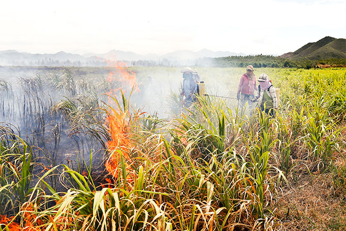 Người dân nỗ lực khống chế ngọn lửa.