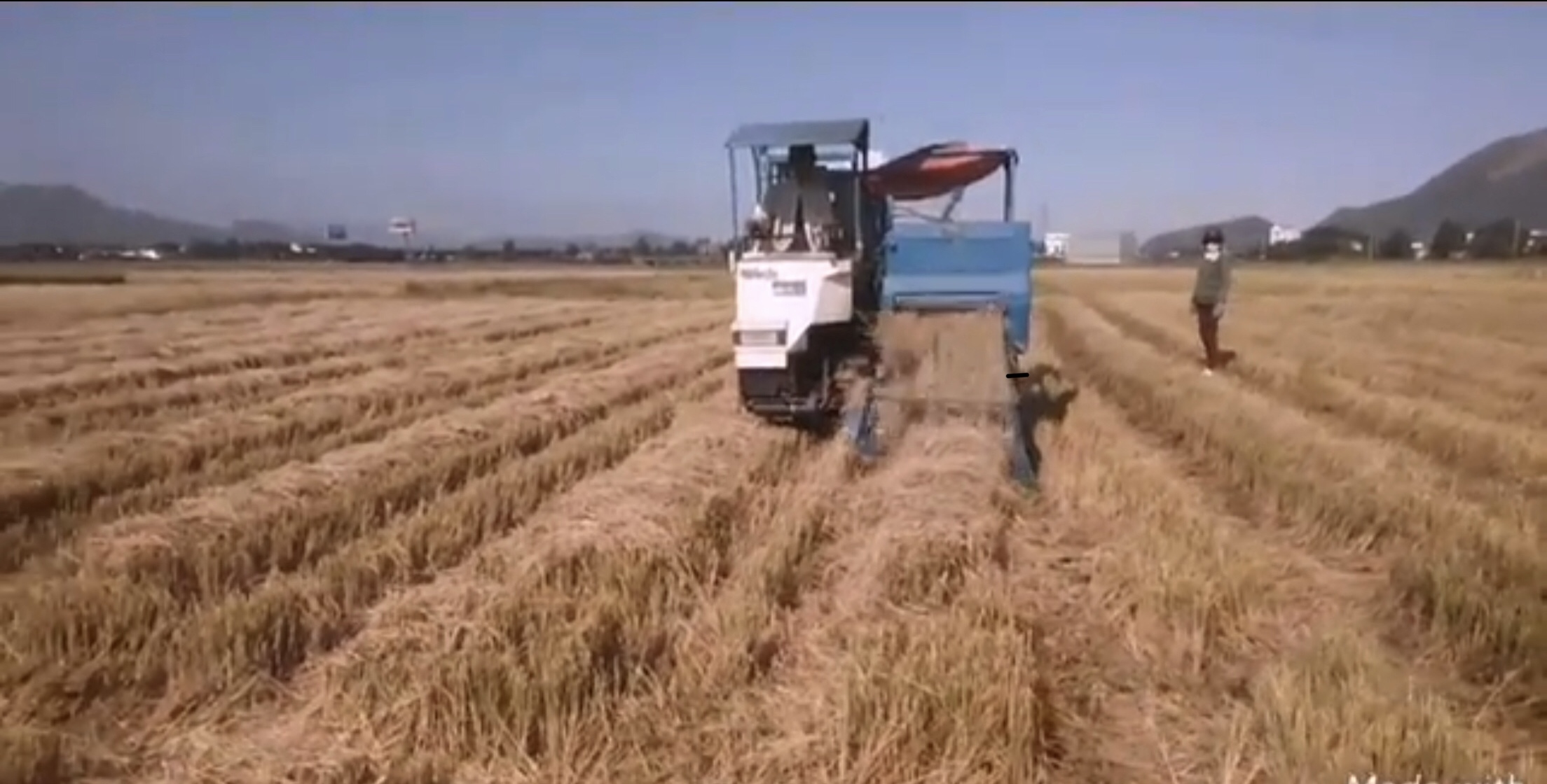 Nghiệm thu đề tài hoàn thiện thiết kế và chế tạo máy cuốn rơm