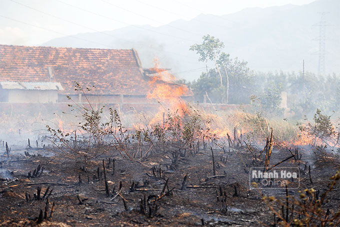 Đồng khô, mía cháy