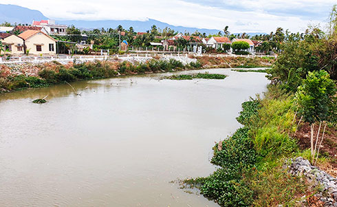 Ninh Hòa: Đề xuất xây kè chống sạt lở sông Cái