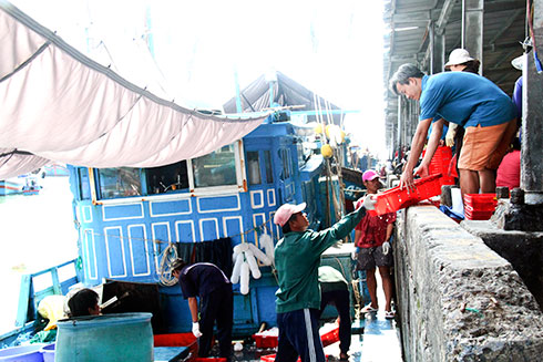 Khai thác thủy sản xa bờ: Sẽ thí điểm ghi nhật ký điện tử