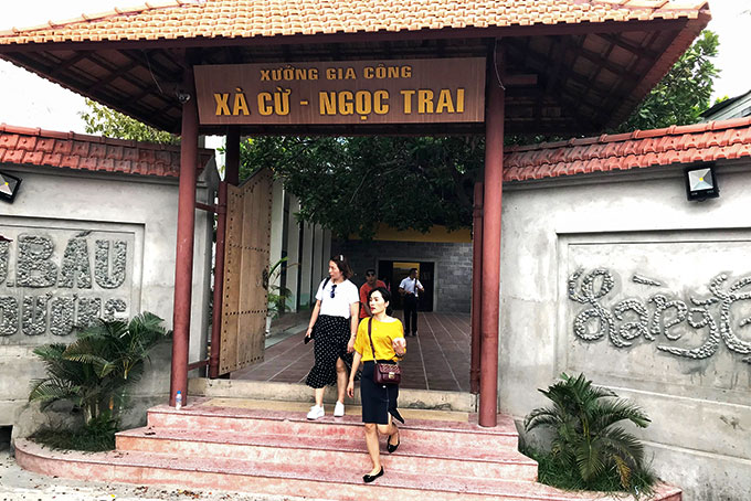 Trường Trung cấp Nghề Nha Trang và Trường THPT Đại Việt  đã biến thành cơ sở phục vụ khách du lịch. 