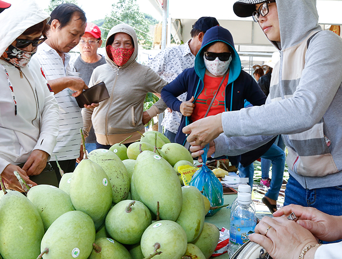 Huyện Cam Lâm tham gia Lễ hội với trái xoài đặc trưng