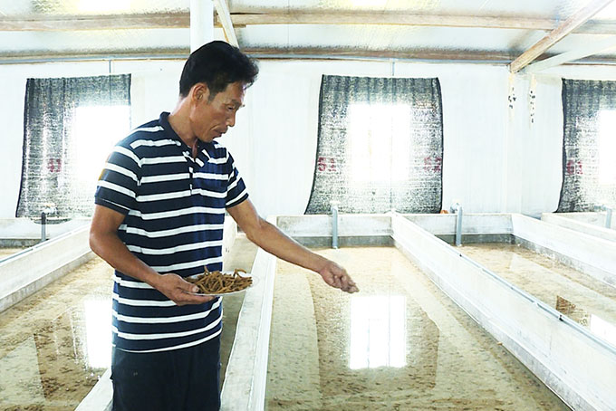 Sản xuất thức ăn công nghiệp nuôi ốc hương