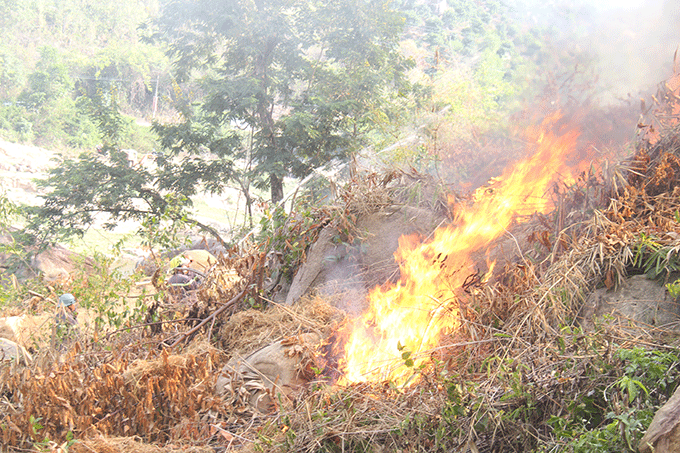 Tình huống diễn tập dã định xuất hiện 1 đám cháy tại Lô 1, Khoảnh 1, Tiểu khu 302 (thôn Va Ly, xã Sơn Tân, huyện Cam Lâm). 
