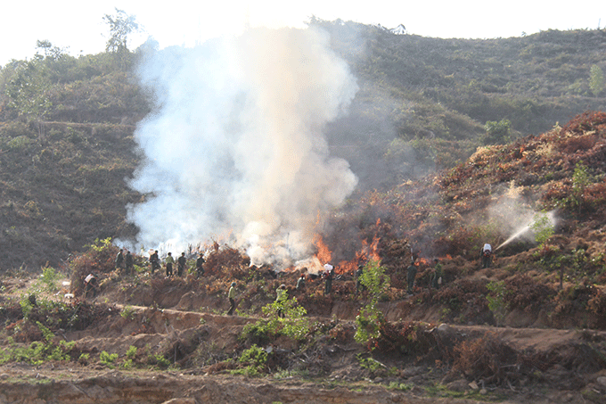 Lực lượng của Ban quản lý rừng phòng hộ Cam Lâm và UBND xã Sơn Tân đã nhanh chóng có mặt tại hiện trường để chữa cháy ban đầu