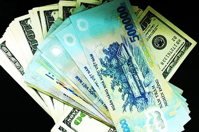 Tỷ giá ngoại tệ ngày 20/8: Nhiều ngân hàng thương mại giảm giá USD