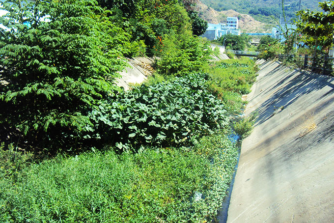 Cần làm sạch con mương