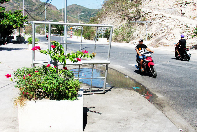 Nhiều giàn hoa giấy đổ ngã