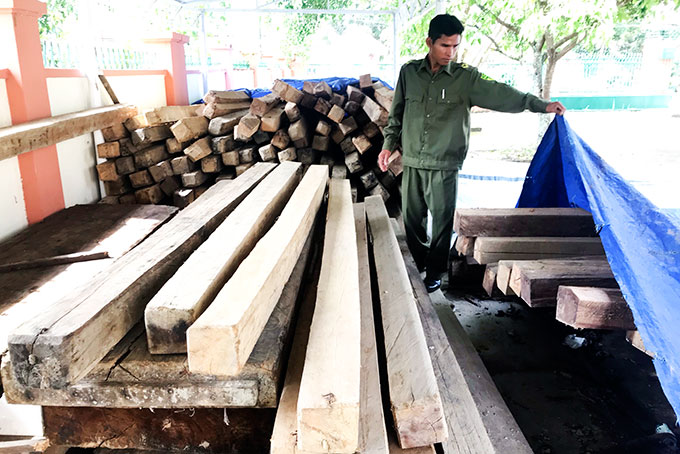 Xã Sơn Trung: Tịch thu hơn 17,6m3 gỗ khai thác trái phép