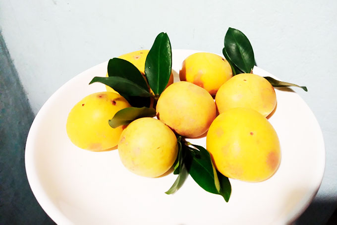 Gặp lại tuổi thơ