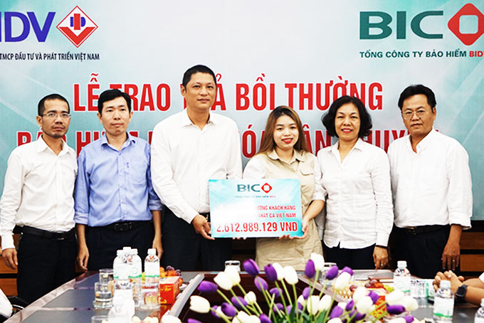 Lãnh đạo BIC Nam Trung bộ trao tiền bồi thường bảo hiểm  cho đại diện công ty. 