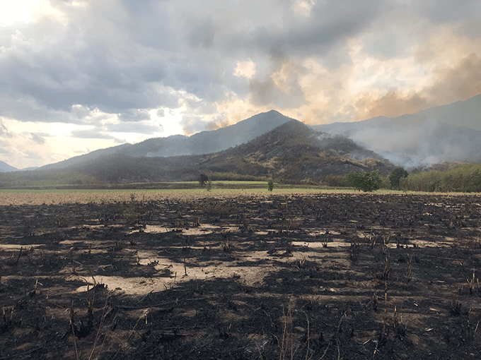 Cháy rừng tại khu vực Ea Krongrou