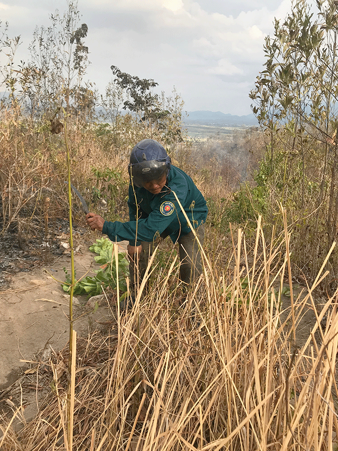 Nhân viên Ban quản lý rừng phòng hộ Bắc Khánh Hòa cắt ranh để cản lửa