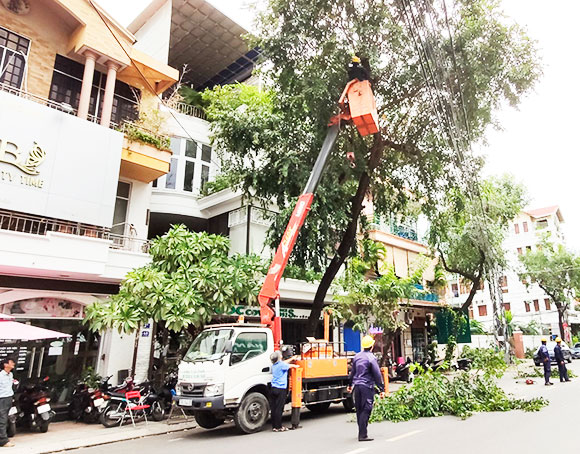 Nha Trang: Cắt tỉa cây xanh trước mùa mưa bão