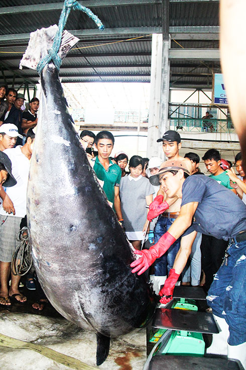 Chuỗi liên kết... gỡ &quot;thẻ vàng&quot;