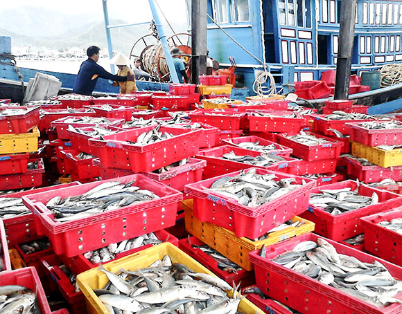 Đánh bắt hải sản là một trong những hướng phát triển chủ lực của người dân xã Vĩnh Lương, Nha Trang.