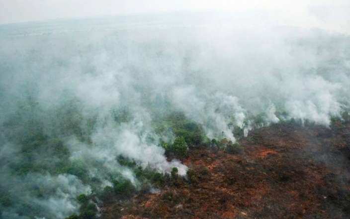 Khói bốc lên từ các đám cháy rừng ở Indonesia. Ảnh: StraitsTimes.