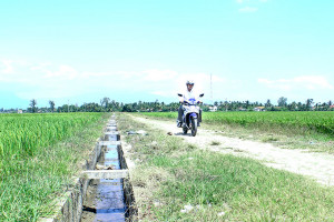 Ninh Hòa: Nỗ lực xây dựng nông thôn mới