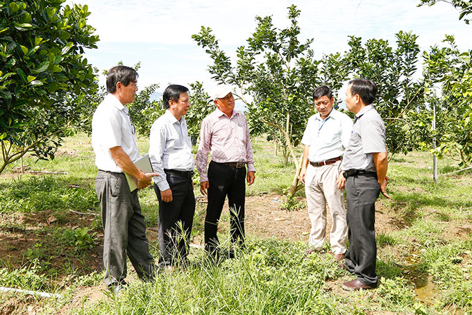 Khảo sát việc hỗ trợ phát triển sản xuất nông nghiệp và dịch vụ nông thôn