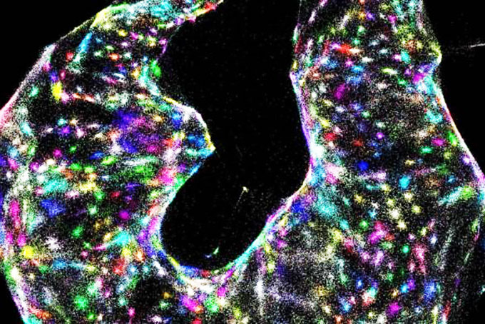 Chế tạo thành công kính hiển vi chụp được DNA