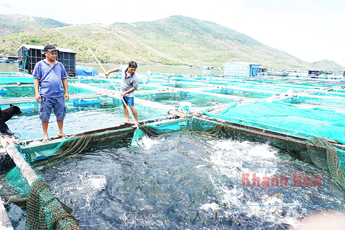 Mỏi mòn chờ khoanh nợ