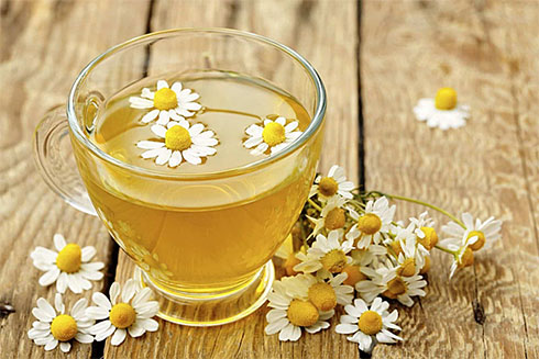 Tác dụng an thần của trà hoa cúc - Báo Khánh Hòa điện tử