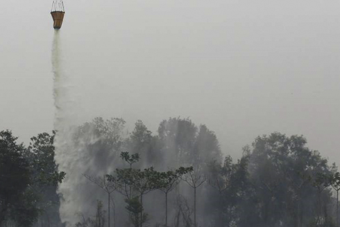 Bom nước - cứu tinh trong đối phó nạn cháy rừng Indonesia