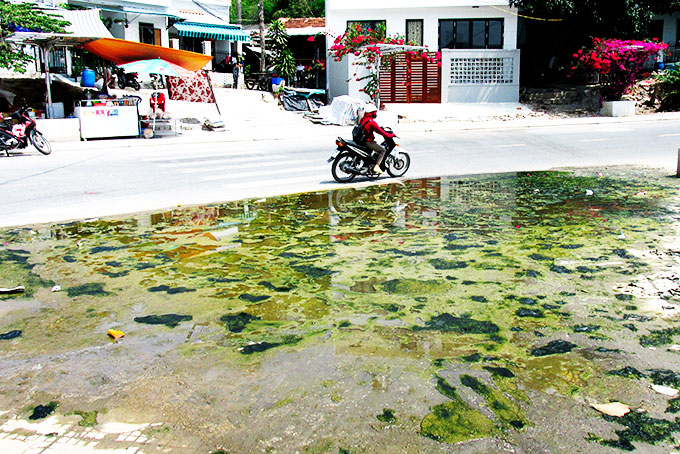 Ô nhiễm đường phố