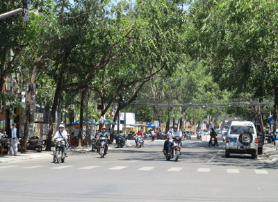 Chuẩn bị bán đấu giá đất công trên đường Lý Tự Trọng