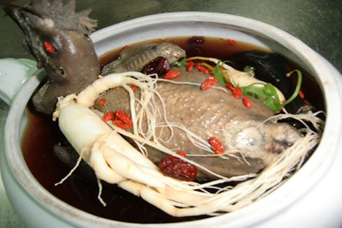 Những trường hợp không được dùng nhân sâm