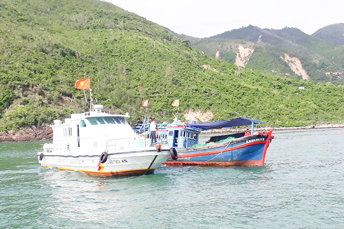 79 tàu cá vi phạm bị xử lý