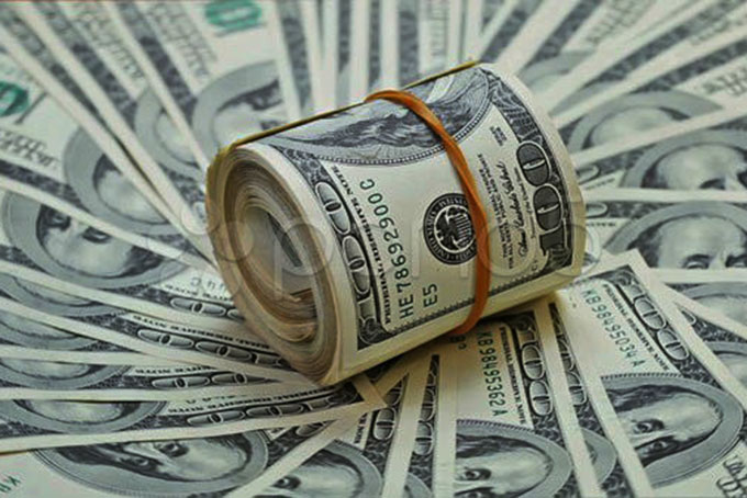 Giá USD trong nước hầu như không biến động