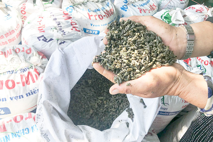 Thêm thu nhập từ tận thu ốc đinh