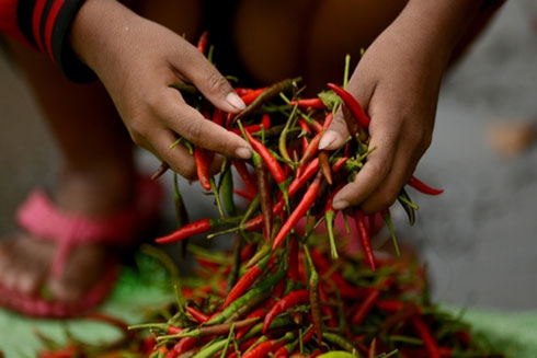 Ăn quá nhiều ớt có thể mất trí nhớ