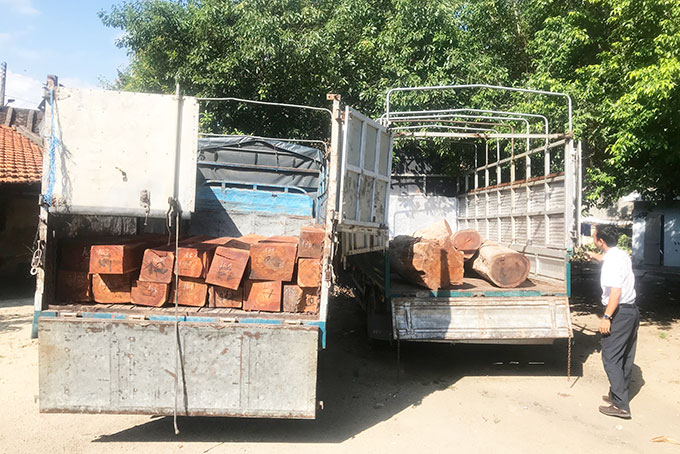 Tạm giữ 2 xe vận chuyển gỗ lậu