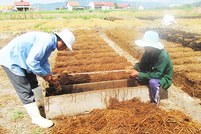 Quỹ Hỗ trợ nông dân huy động được hơn 4,8 tỷ đồng