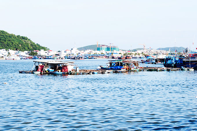 Cương quyết tháo dỡ lồng bè khu vực Hòn Rớ