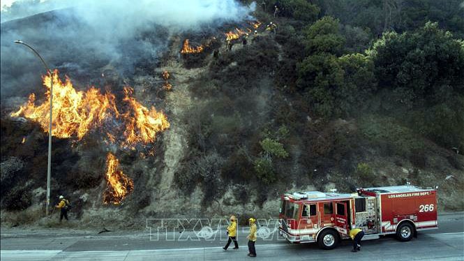 Nhân viên cứu hỏa nỗ lực khống chế các đám cháy rừng lan rộng tại Newhall, California, Mỹ, ngày 11/10. Ảnh: AFP/TTXVN