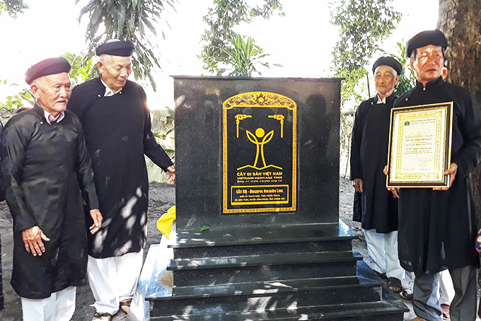 Newly-recognized heritage trees in Khanh Hoa Province