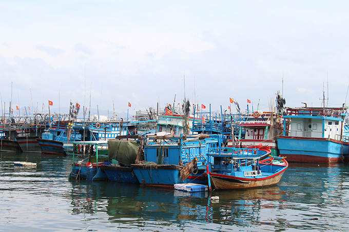 Đảm bảo neo đậu tàu thuyền tại cảng Hòn Rớ, Phước Đồng, Nha Trang.