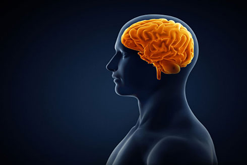 Những loại nước ép trái cây giúp tăng cường trí nhớ của bạn