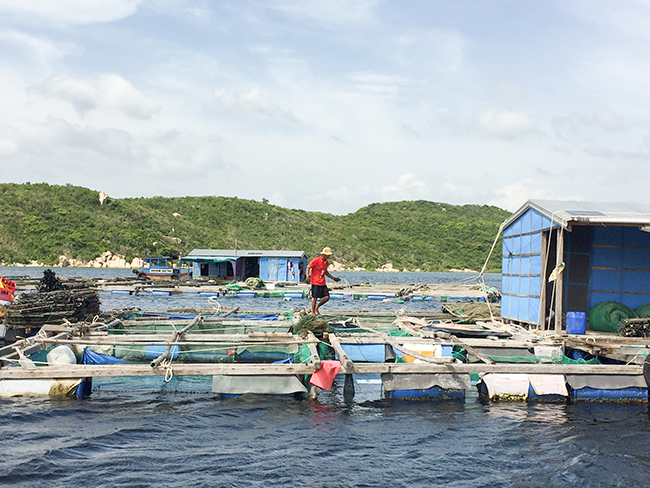 Người dân xã Vạn Thạnh, Vạn Ninh kiểm tra lồng bè nuôi trồng thủy sản.